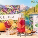 Celina detox - Nước uống thanh nhiệt
