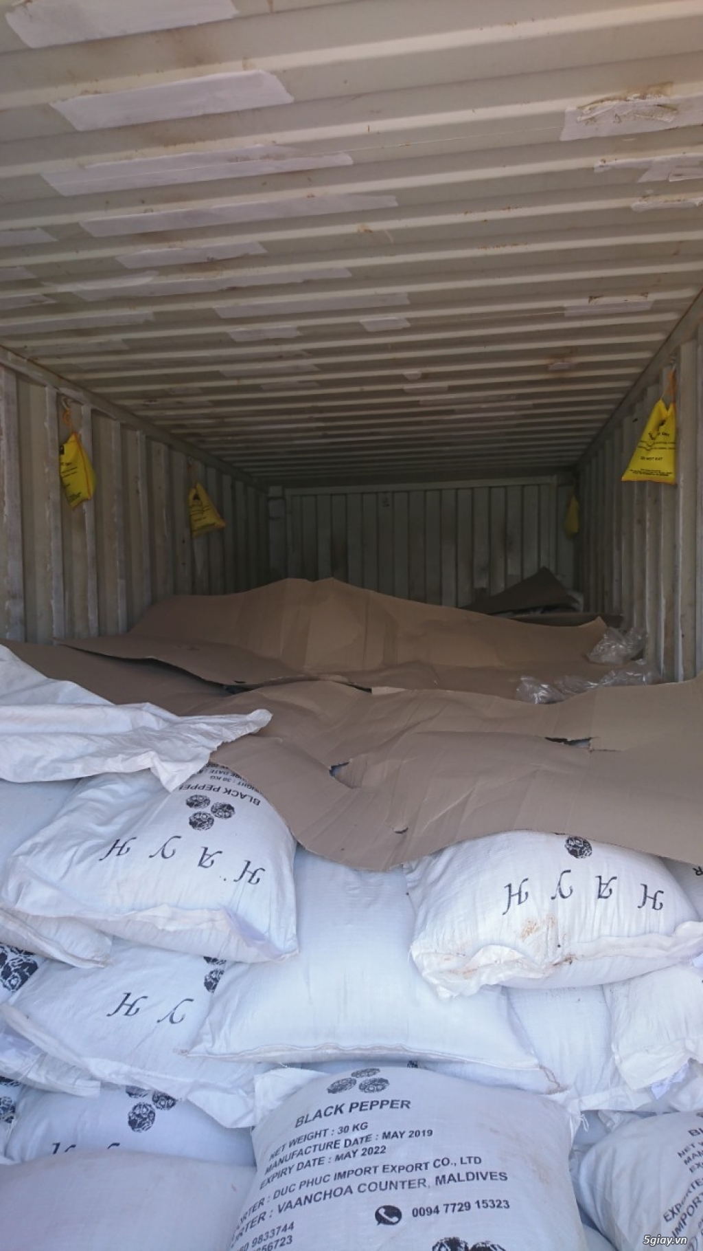 Cung cấp Tiêu đen/ Tiêu Trắng - 2