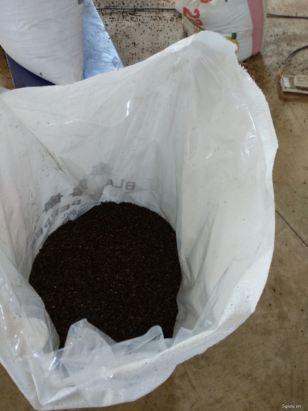 Cung cấp Tiêu đen/ Tiêu Trắng - 3