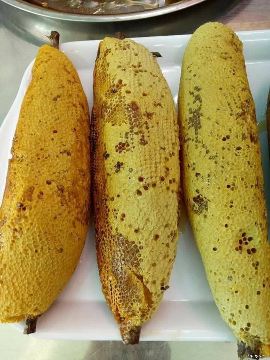 Mật ong ruồi Tây Bắc có tác dụng gì? Mật ong ruồi Tây Bắc có tác dụng gì?