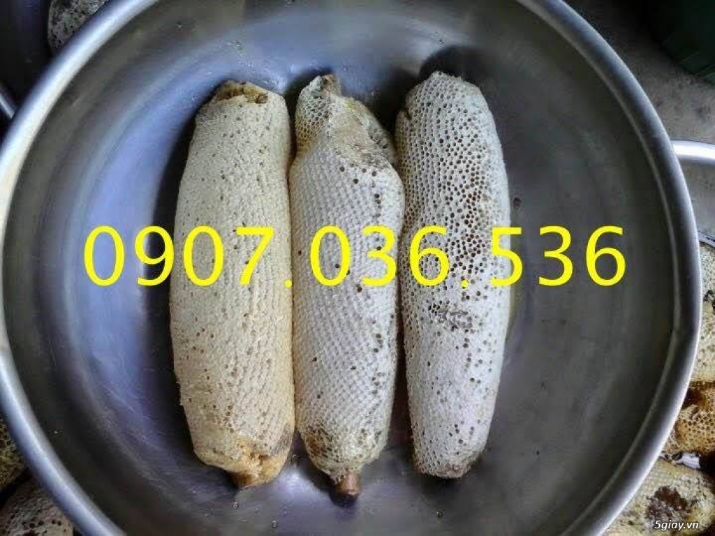 Mật ong ruồi nguyên tổ