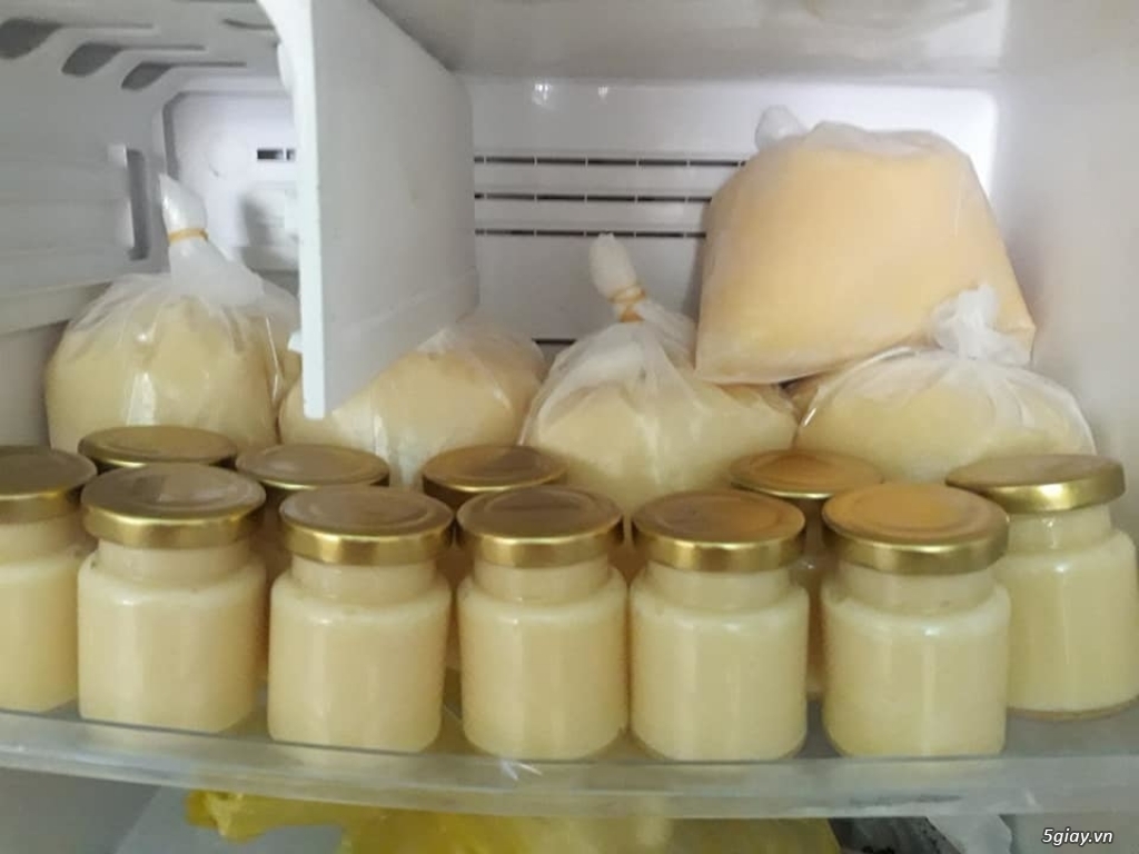 Sữa ong chúa tươi - 1