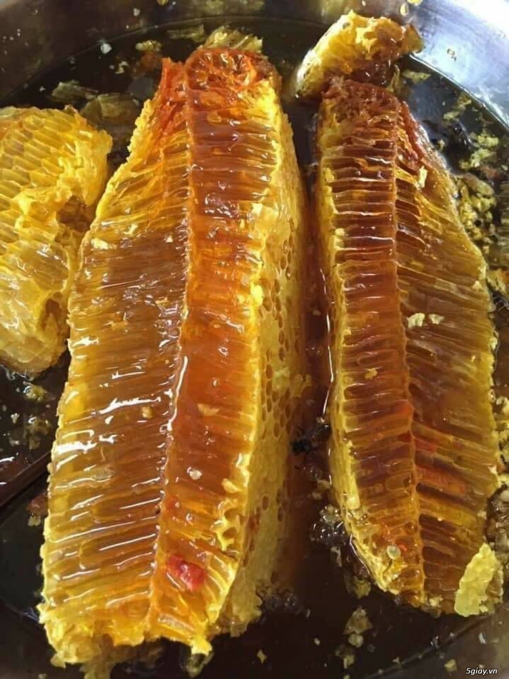 Mật ong ruồi nguyên tổ - 1