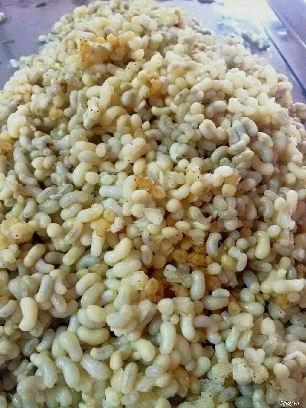 Trứng kiến