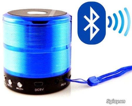 Loa Bluetooth WS-887