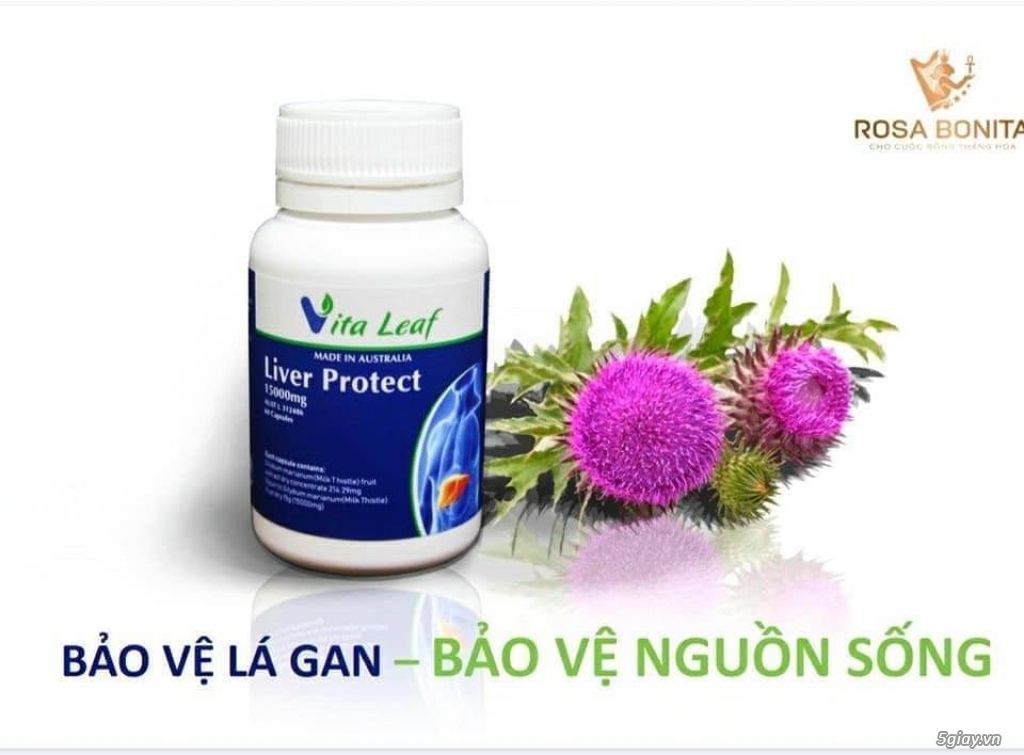 Thuốc thải độc gan dành cho người gan kém