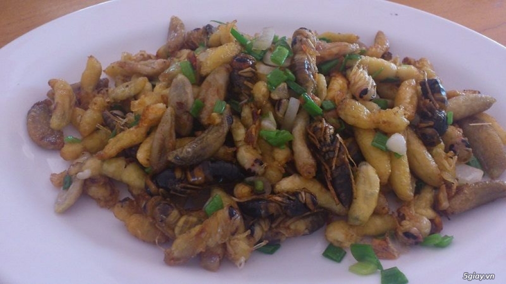 Trứng kiến vàng