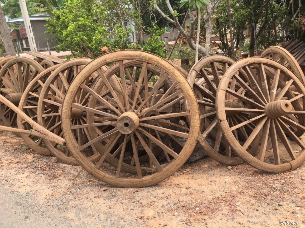 Bánh xe bò - 3