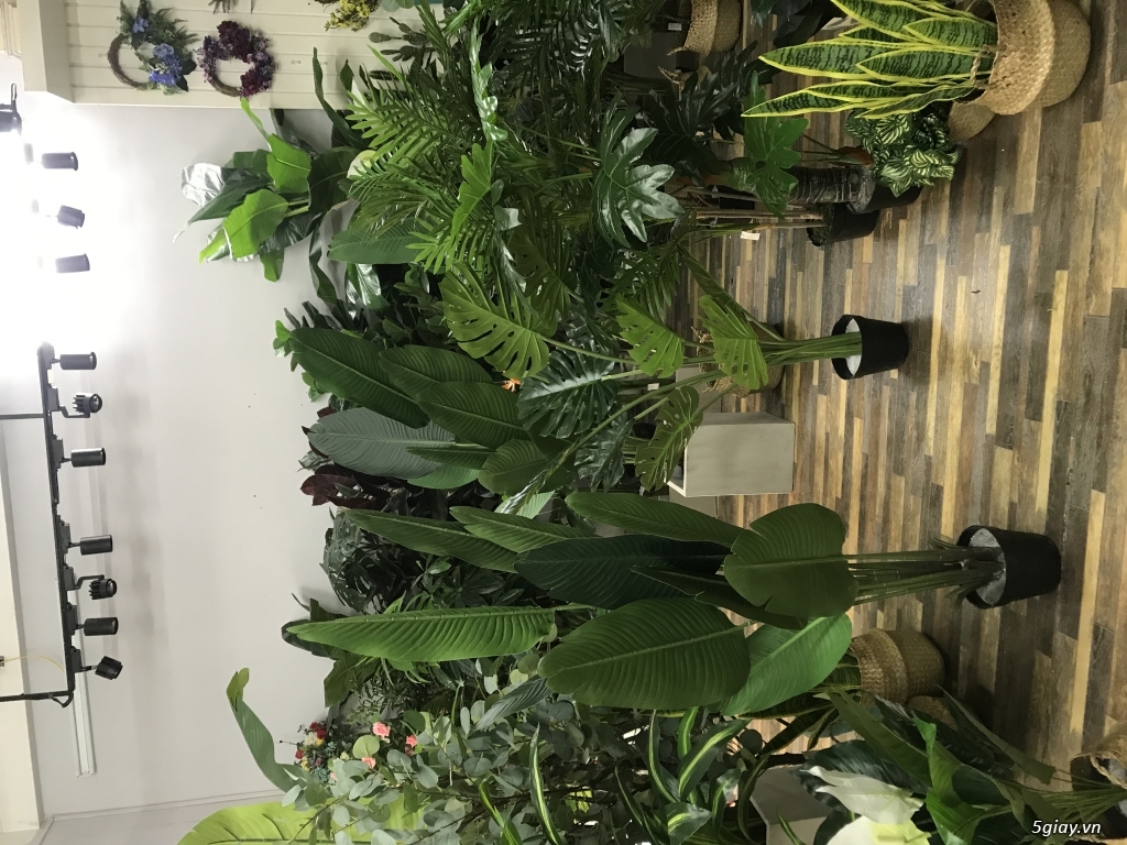 Tổng kho sỉ cây giả Lan Decor