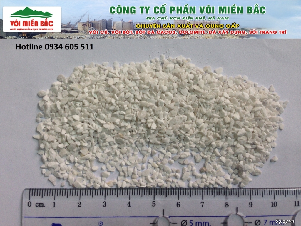 BỘT ĐÁ, ĐÁ HẠT LÀM GẠCH TERRAZZO, GRANITO - 4