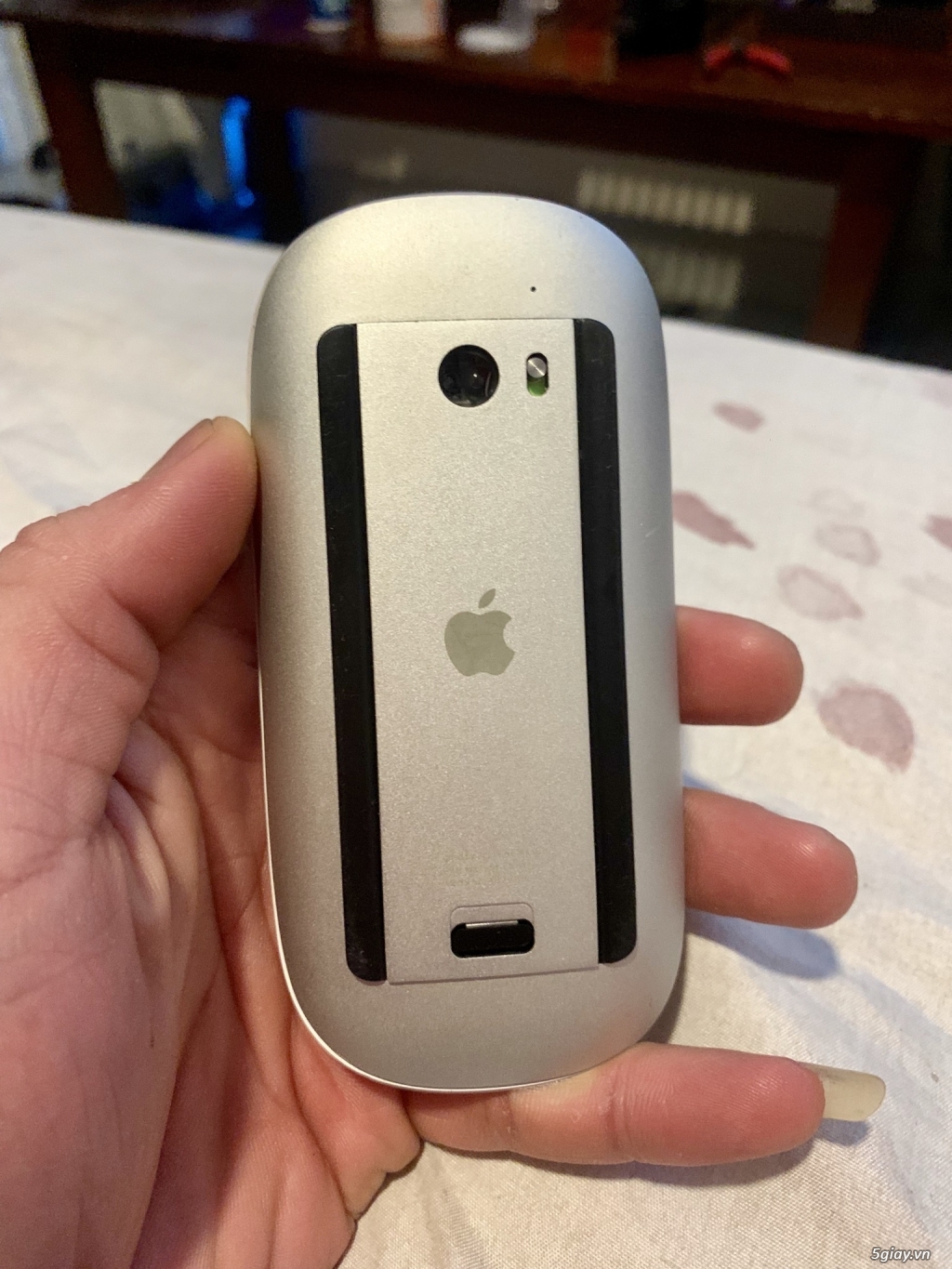 Bán Chuột Apple Magic Mouse 1 like new 99% - 1