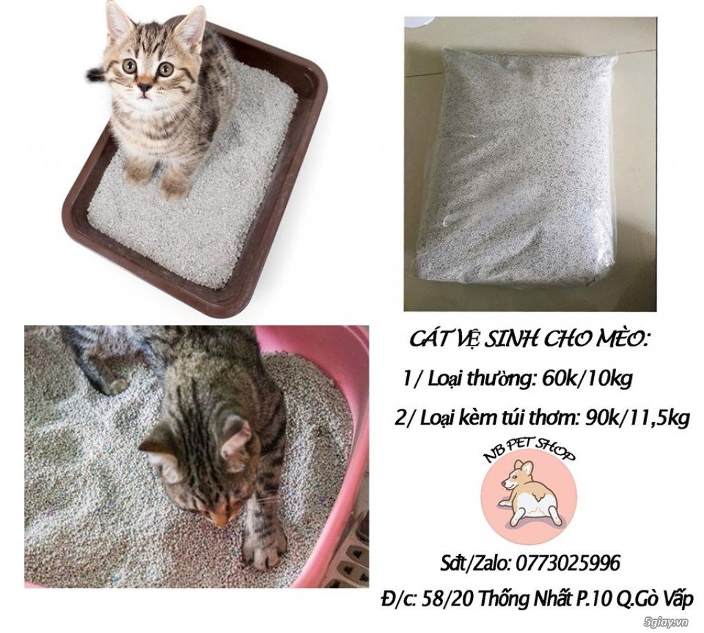 Cát Vệ Sinh Cho Mèo Siêu Tiết Kiệm - 3