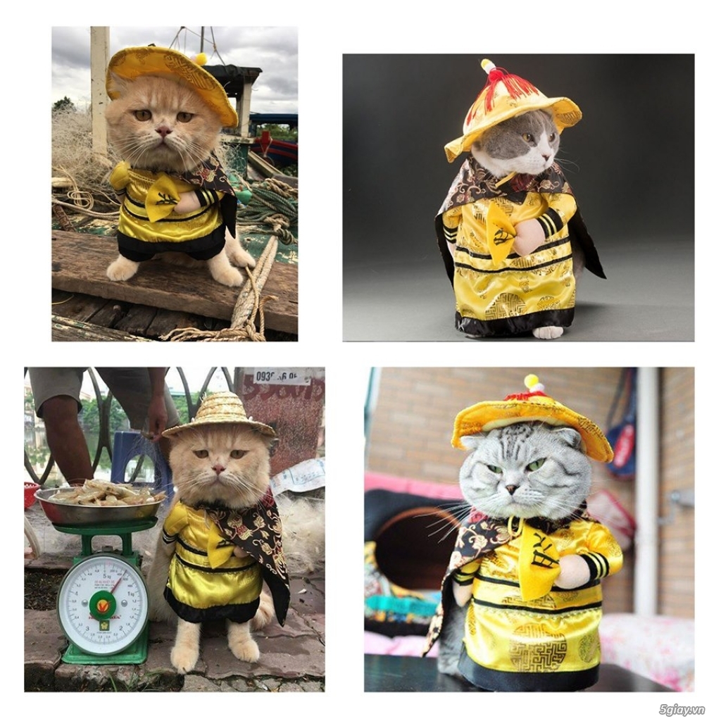 Trang Phục Hóa Trang Halloween Hoàng Thượng Chó Mèo