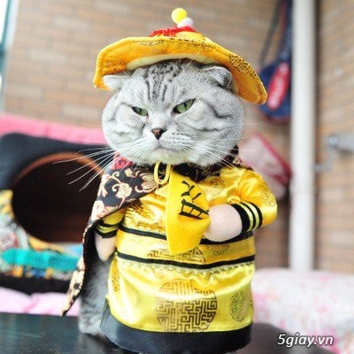 Trang Phục Hóa Trang Halloween Hoàng Thượng Chó Mèo - 3