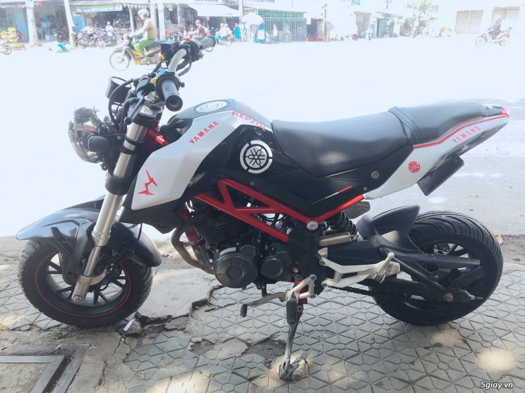 Cần bán: Các loại Mô tô Beneli 125cc, 250cc, 302cc - 3