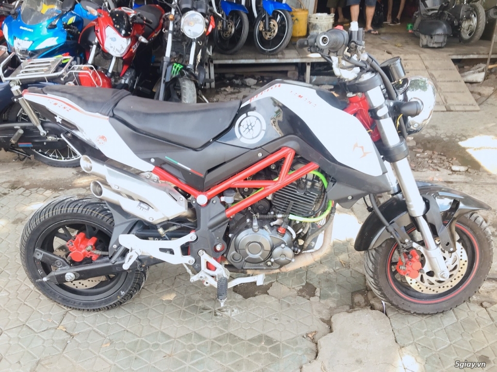 Cần bán: Các loại Mô tô Beneli 125cc, 250cc, 302cc - 1