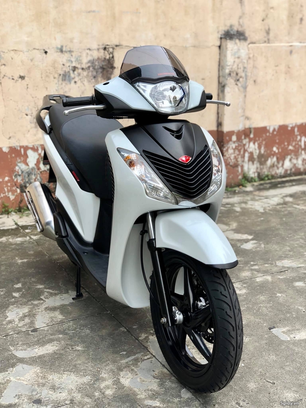 SH150 Nhập Ý, Trắng sporty zin SM 110 Date 2012 - 8