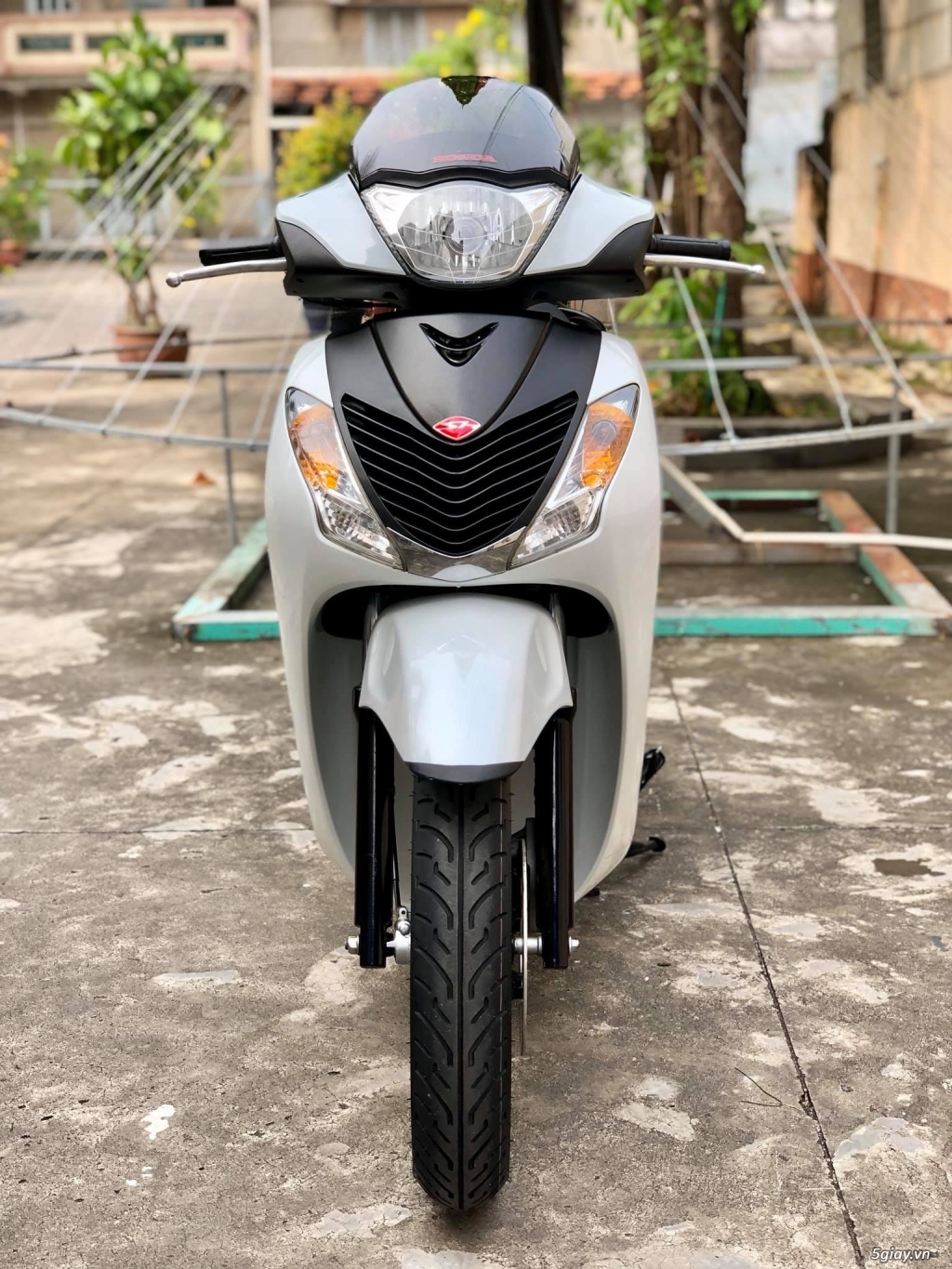 SH150 Nhập Ý, Trắng sporty zin SM 110 Date 2012 - 19