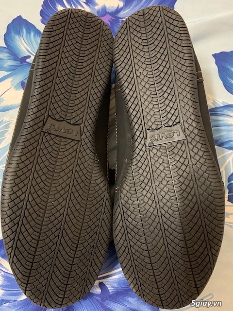 Giày Michael kros, Calvin klein, Aldo... - 17