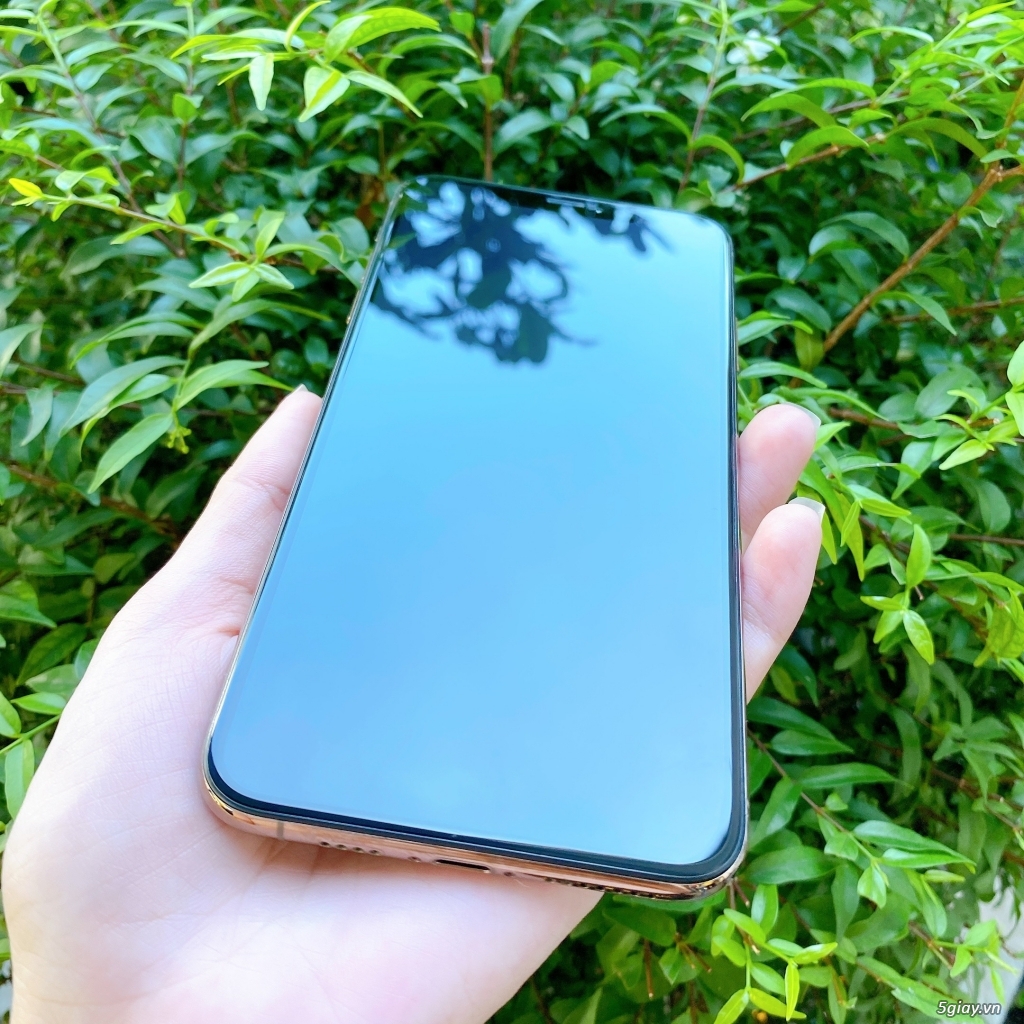 Xs Max 256gb gold quốc tế fullbox như mới.! - 2