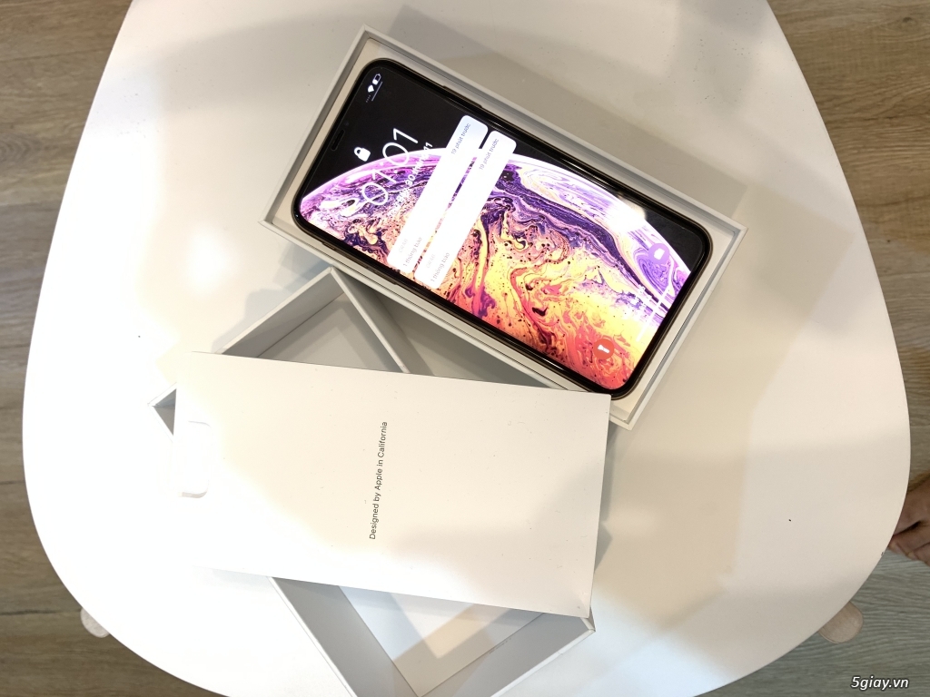 XS Max Gold 256GB Usa QT Mới như Fullbox - 4