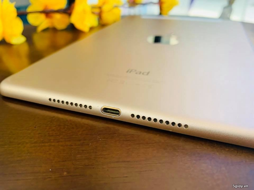 iPad mini 4 64GB 4G 98% ZIN ALL - 1