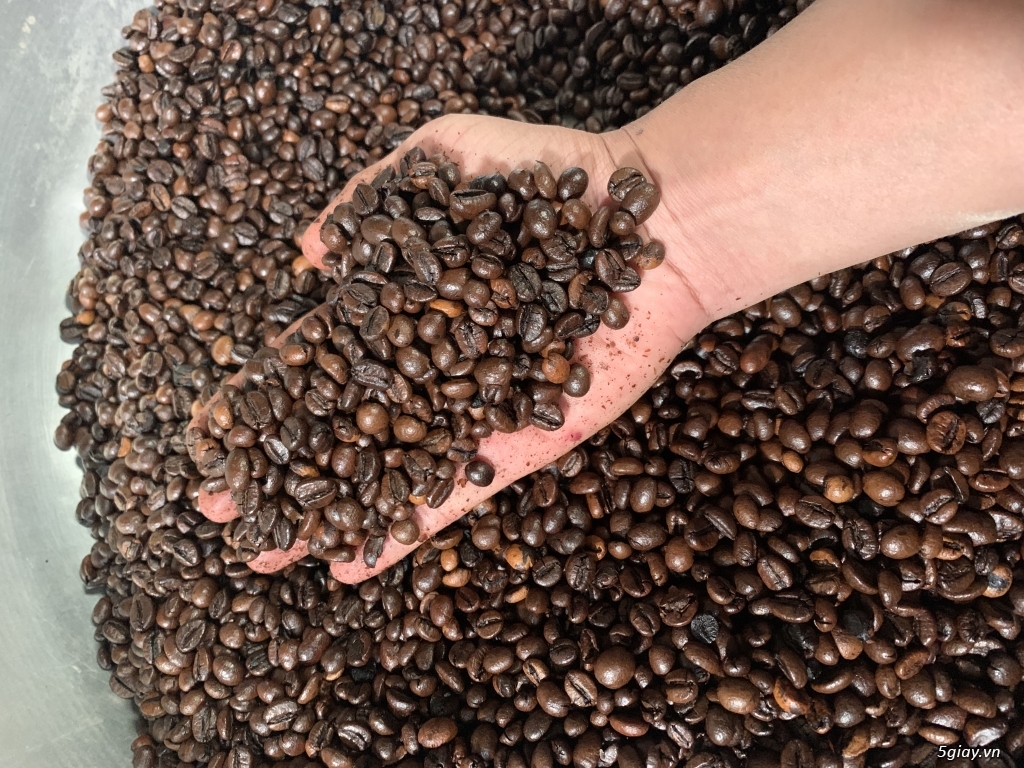 Cà phê rang xay nguyên chất 100% do chính nhà trồng - 4