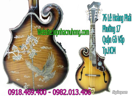Nơi bán đàn mandolin uy tín, chất lượng giá sập sàn - 2