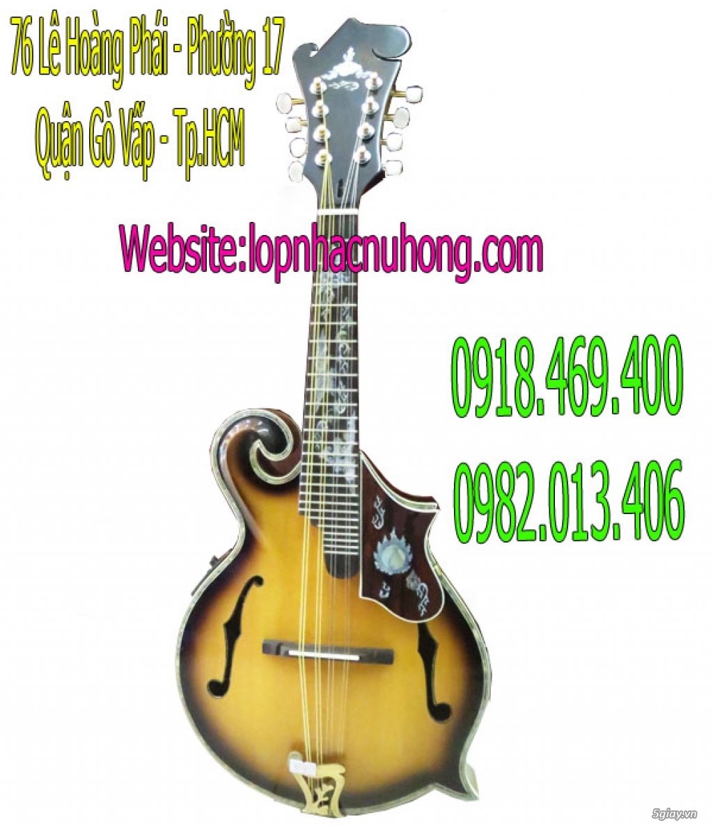 Nơi bán đàn mandolin uy tín, chất lượng giá sập sàn - 5