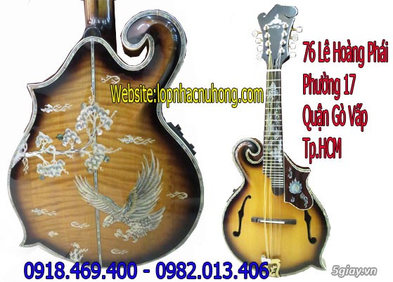 Nơi bán đàn mandolin uy tín, chất lượng giá sập sàn - 3