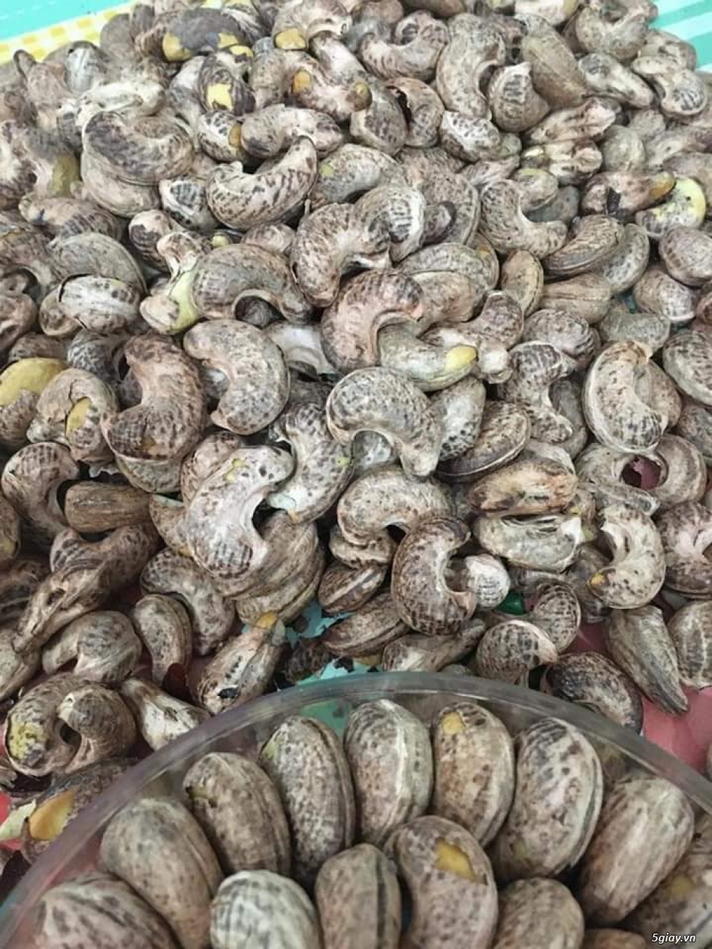 HẠT ĐIỀU RANG MUỐI ĐAKLAK ĐIỀU CHUẨN B