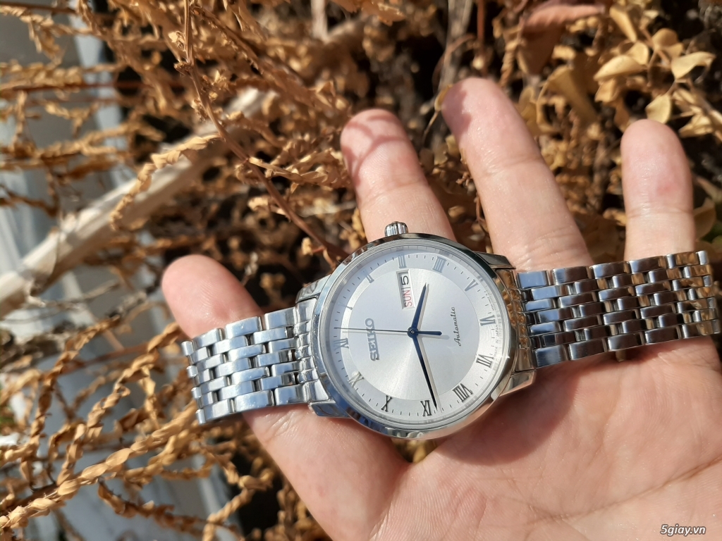 Cần bán orien và seiko sary 059 - 1