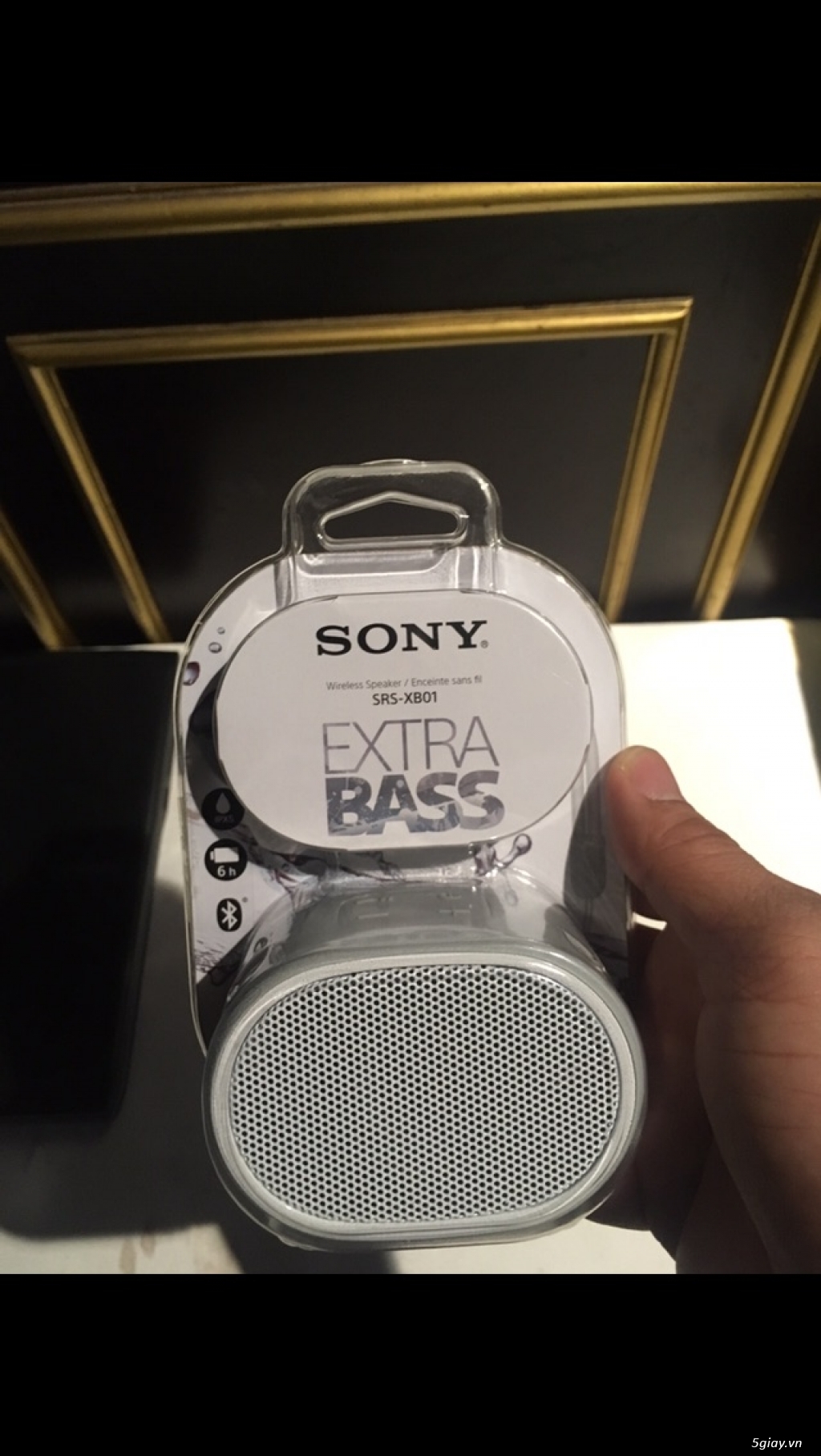 Loa Sony Xb01