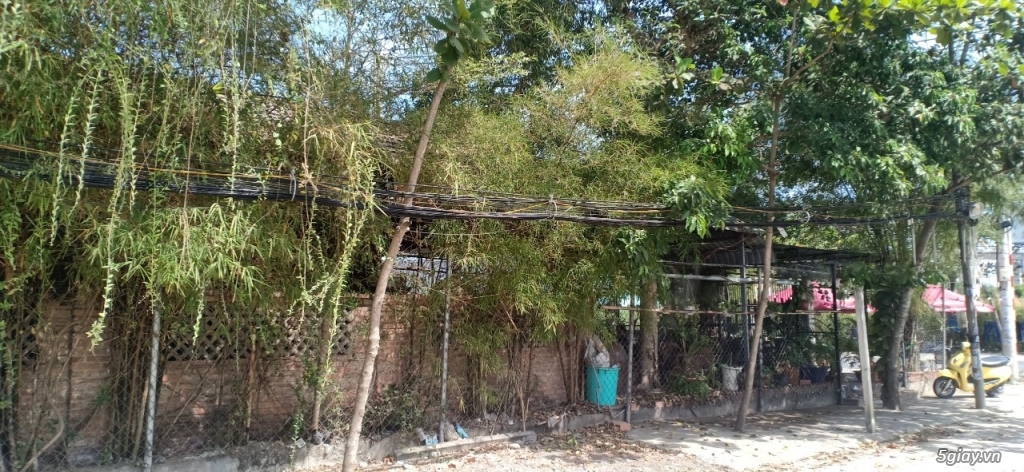 Sang Quán Cafe Góc 2 Mặt Tiền 180m2, Nguyễn Văn Tạo, Nhà Bè - 3