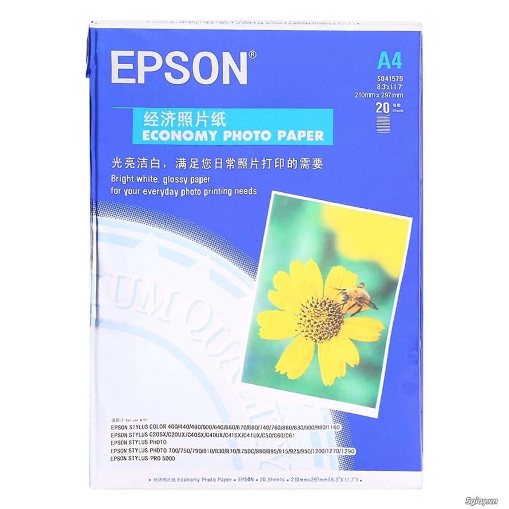 Giấy in ảnh Epson ĐL 230 (20 tờ) - 1