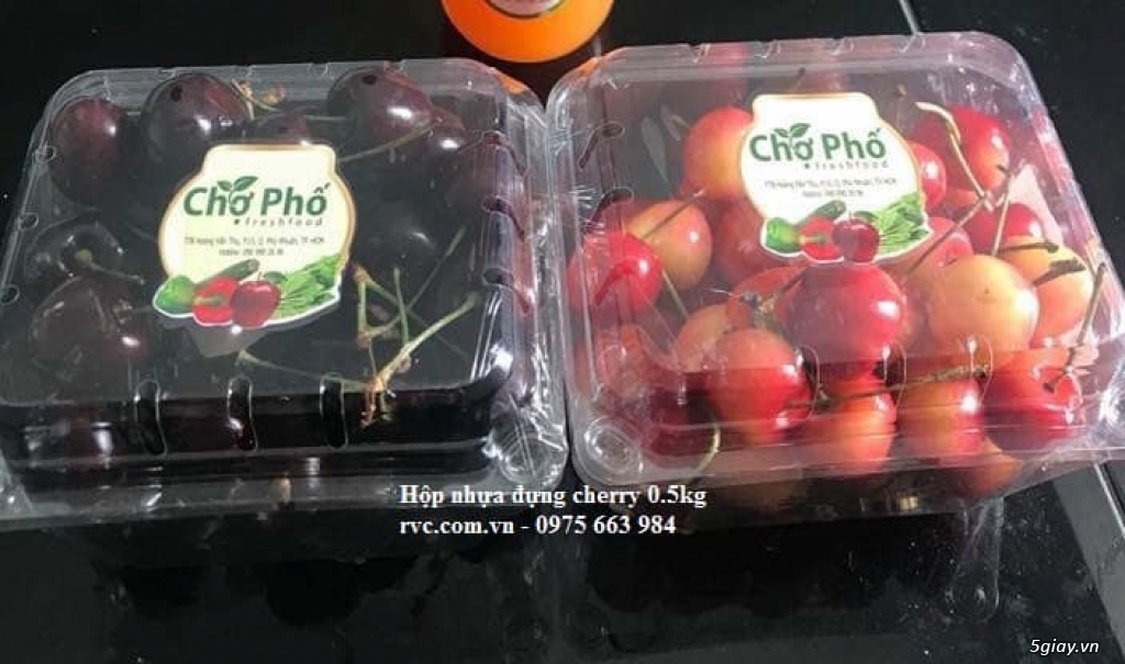 Công ty sản xuất hộp nhựa trái cây jadebox chât lượng cao tp.hcm - 1