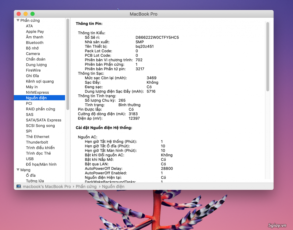 Macbook pro 13 2015 mf843 max option khủng long xách tay usa 18Tr - 9