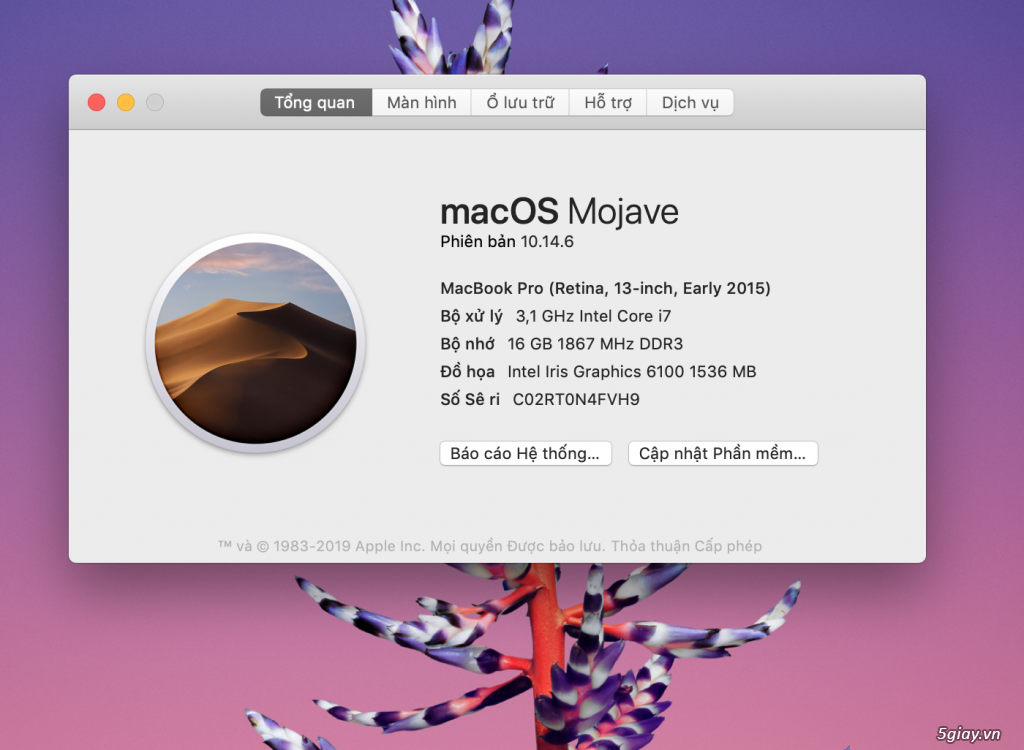 Macbook pro 13 2015 mf843 max option khủng long xách tay usa 18Tr - 8