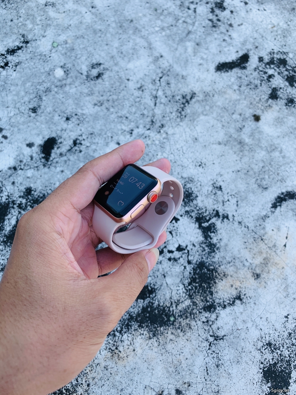 watch 3 lte hồng 38mm - 3