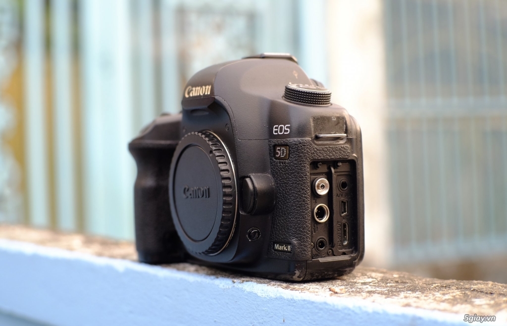Canon 5D Mark II, giá ve chai - 1