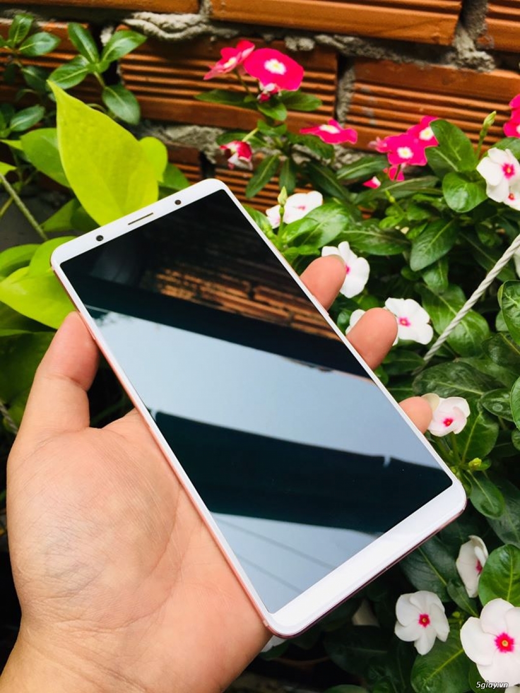 Huawei Xiaomi Oppo Cỏ đủ loại android cho ACE lựa chọn - 4