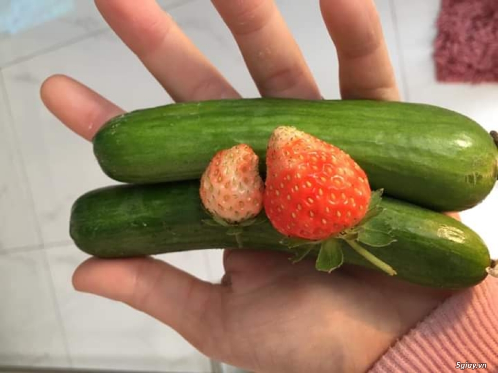 Xanh , sạch và trong lành . - 7