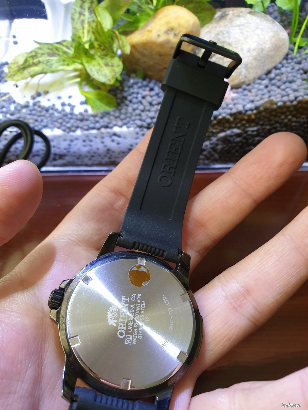 End nhanh ĐH Orient chính hãng cực cool et 23h ngày 12/02/20 - 1