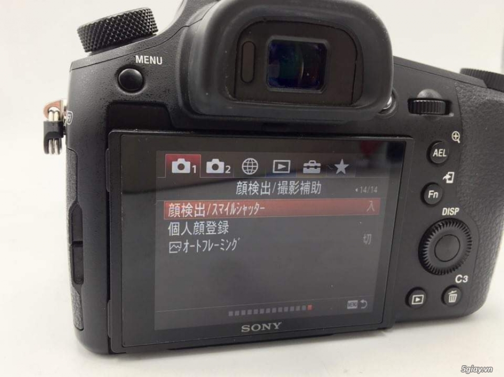 Sony Nex 5 - RX10 Mark IV - 2