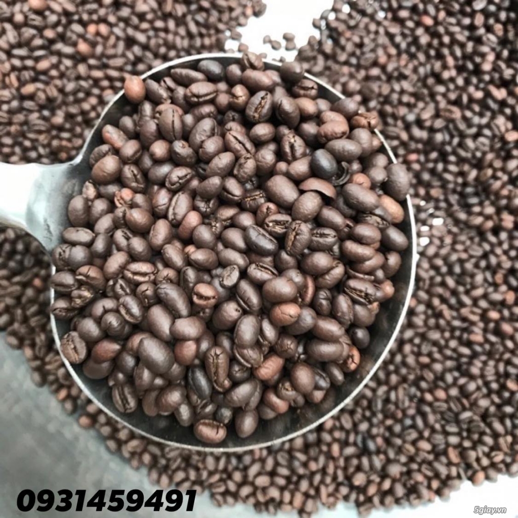 Phân phối sỉ cafe robusta hạt rang mộc - 1