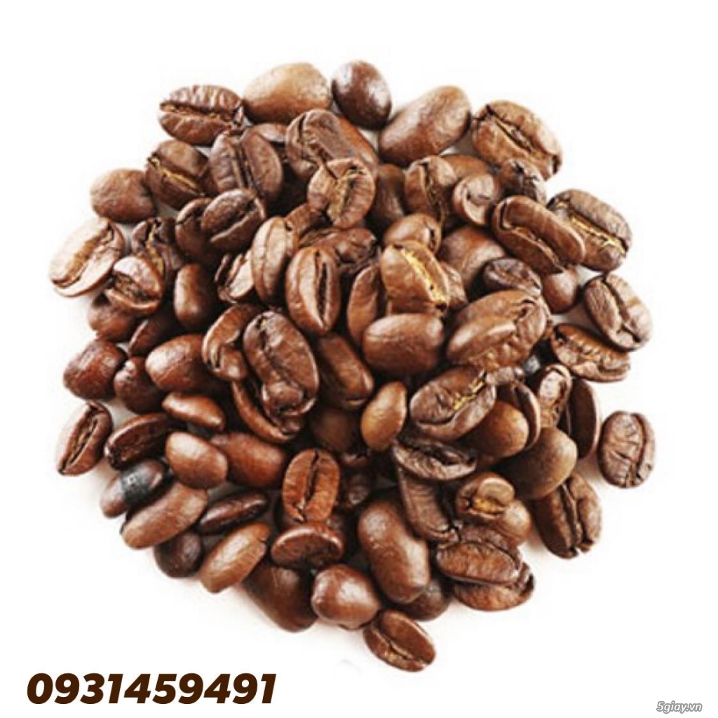 Phân phối sỉ cafe robusta hạt rang mộc