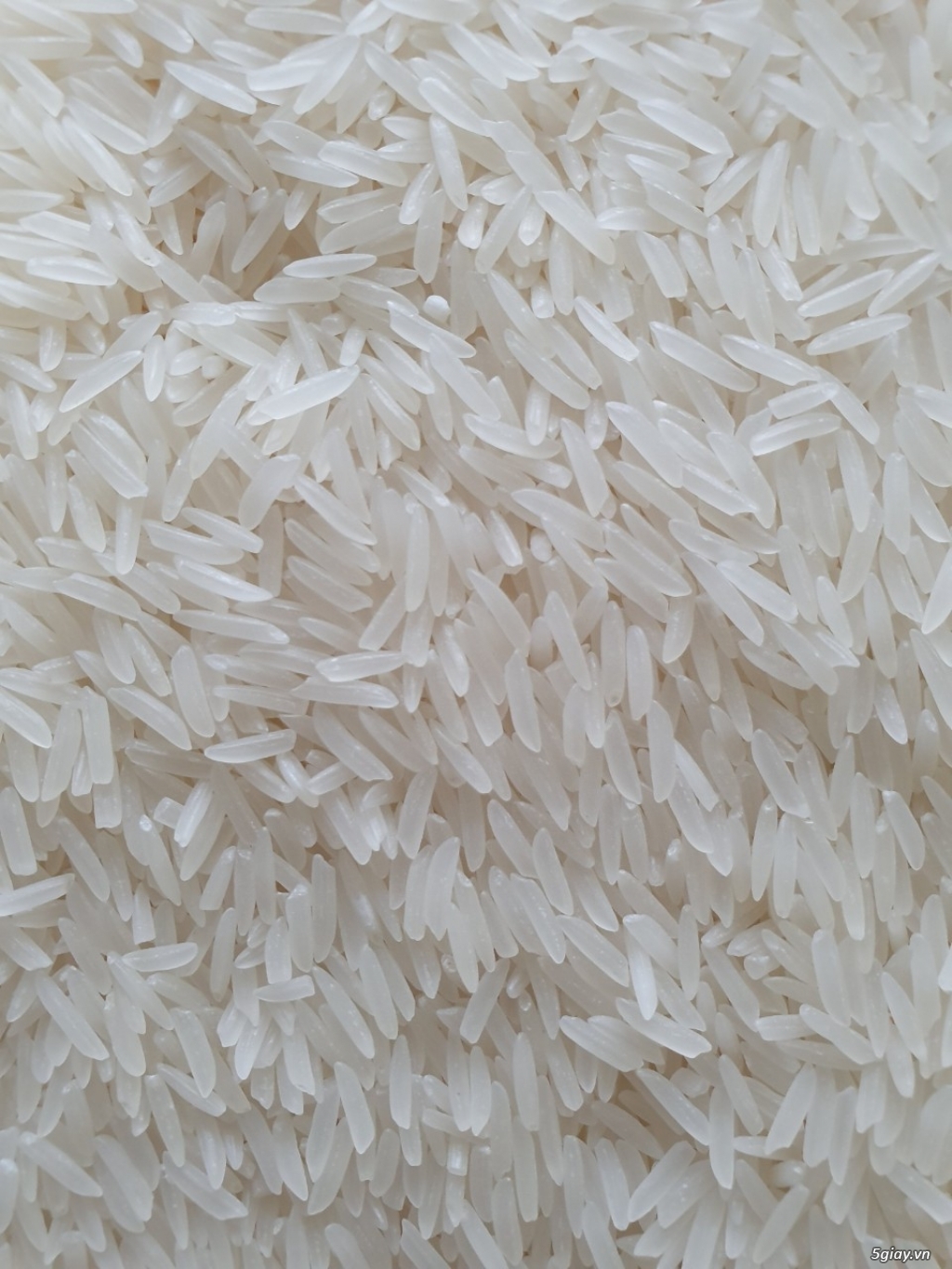 bán gạo ST25 ngon nhất thế giới tại TPHCM Lh 0933764119 - 1