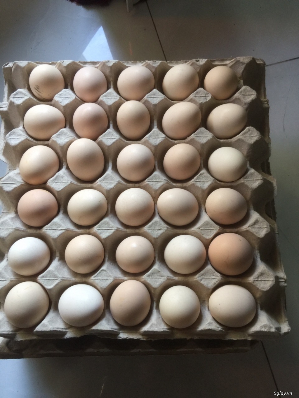 trang trại nguyên food cần tìm đại lý, nhà phân phối trứng gà ác trên
