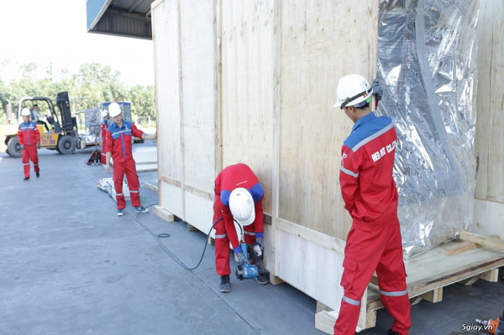 Đóng thùng gỗ tại công ty vận chuyển Kiến Đỏ