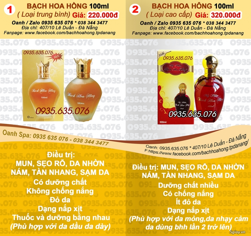 bạch hoa hồng